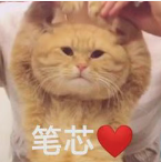 cat3